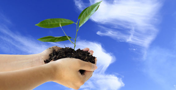 <span class=nivo-title><span class=t1>Building a better future <br><br> </span > <a href=http://www.galas.mx/en/tipos-de-etiquetas/ class=more></a>